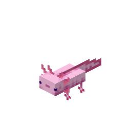 Axolotl