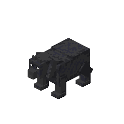 Black Bear