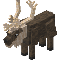 Caribou