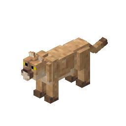 Cougar