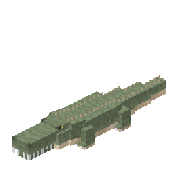 Crocodile