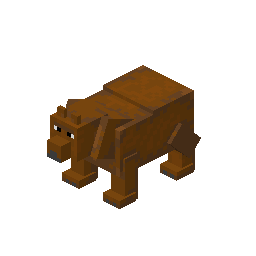Grizzly Bear