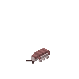 Isopod