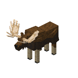 Moose