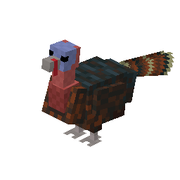 tfc:turkey