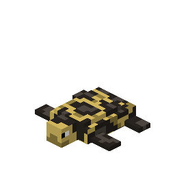 Sea Turtle
