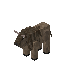 Wildebeest