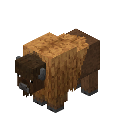 Bison
