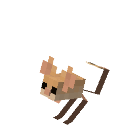Jerboa