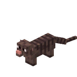 Mongoose