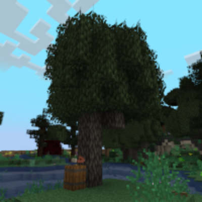 tfg:textures/gui/field_guide/tapping_index/maple_tree.png