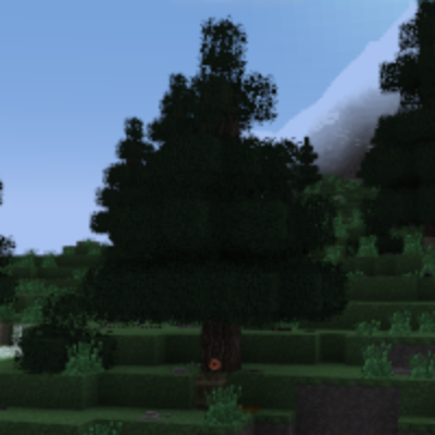 tfg:textures/gui/field_guide/tapping_index/spruce_tree.png