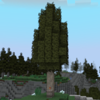 tfg:textures/gui/field_guide/tapping_index/white_cedar_tree.png